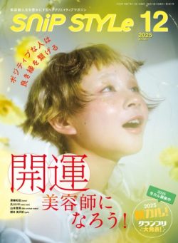 Snip Style – December 2025