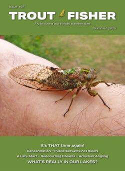 Trout Fisher – Summer 2025