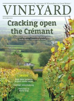 Vineyard – December 2025