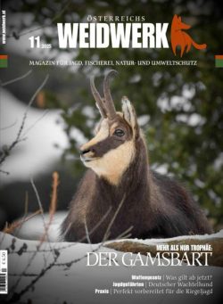 Weidwerk – November 2025