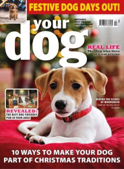 Your Dog – December 2025