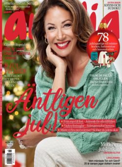 Amelia – 3 December 2025