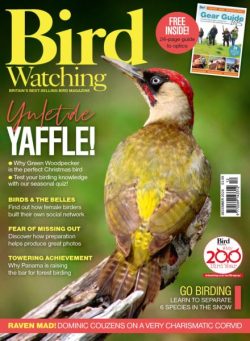 Bird Watching UK – December 2025