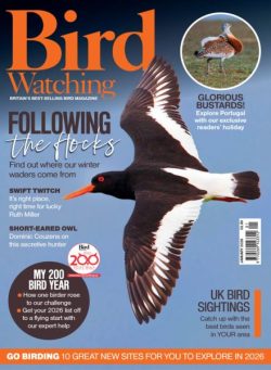 Bird Watching UK – January 2026