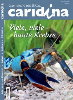 Caridina Magazin – Nr 3 2025