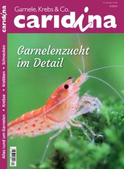 Caridina Magazin – Nr 4 2025