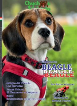 Chuchos y Demas Bichos – Octubre-Noviembre 2025