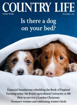 Country Life UK – December 3 2025