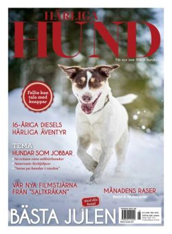 Harliga Hund – November 2025