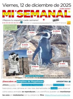 Mi Semanal – 12 Diciembre 2025