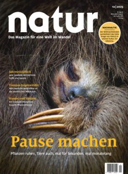 Natur – Dezember 2025