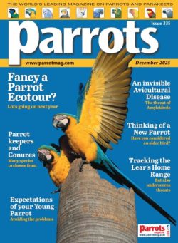 Parrots – December 2025