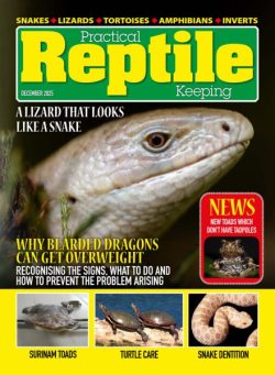Practical Reptile Keeping – December 2025