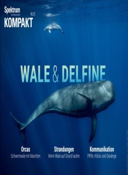 Spektrum Kompakt – 8 Dezember 2025