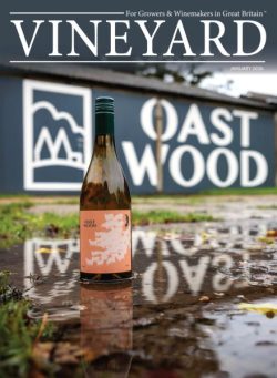 Vineyard – January 2026