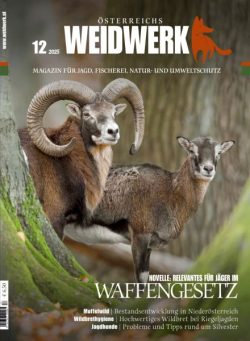 Weidwerk – Dezember 2025