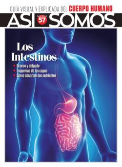 Asi Somos El cuerpo humano – Diciembre 2025