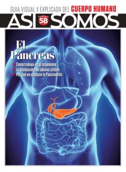Asi Somos El cuerpo humano – Enero 2026