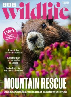 BBC Wildlife – February 2026