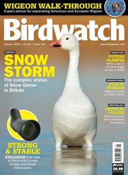 Birdwatch UK – January 2026