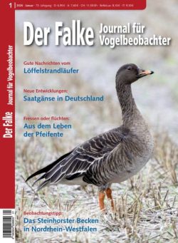 Der Falke Journal fur Vogelbeobachter – Januar 2026