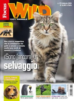 Focus Wild – Febbraio 2026