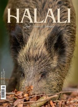 Halali – Februar-April 2026