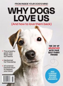 Inside Your Dog’s Mind – Why Dogs Love Us 2025