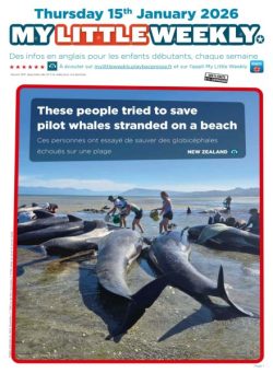 My Little Weekly – 16 Janvier 2026