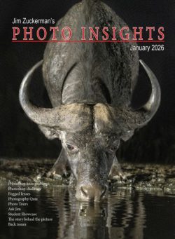 Photo Insights – January 2026
