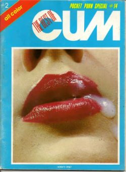 Pocket Porn Special – n 14