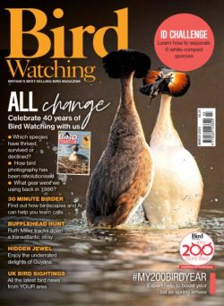 Bird Watching UK – March 2026