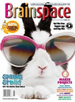 Brainspace – Spring 2019