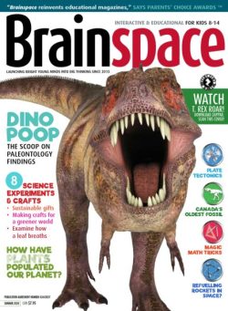 Brainspace – Summer 2020