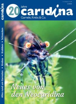 Caridina – 17 Februar 2026