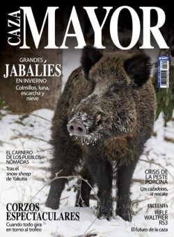 Caza Mayor – 15 Febrero 2026