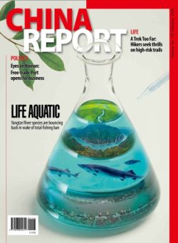 China Report – February 2026