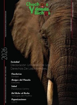 Chuchos y Demas Bichos – Diciembre 2025 – Enero 2026