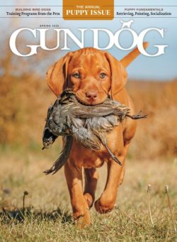Gun Dog – March-April-May 2026