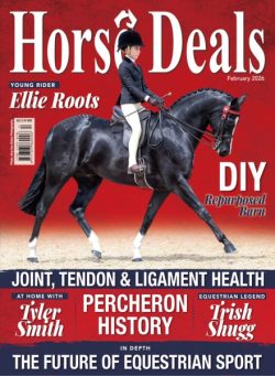 Horse Deals – February 2026