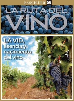 La ruta del Vino – Febrero 2026