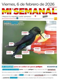 Mi Semanal – 6 Febrero 2026
