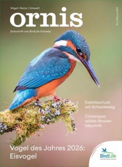 Ornis – Februar 2026