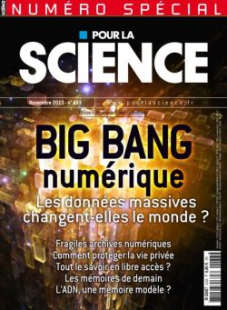 Pour la Science – Novembre 2013
