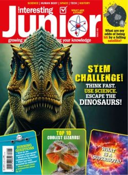 Very Interesting Junior – Issue 68 November 2025