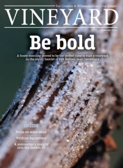 Vineyard – February 2026