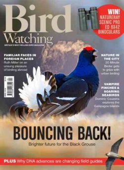 Bird Watching UK – April 2026