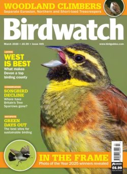Birdwatch UK – March 2026