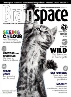 Brainspace – Spring 2021