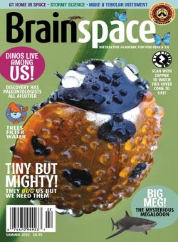 Brainspace – Summer 2022
